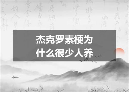 杰克罗素梗为什么很少人养