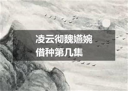 凌云彻魏嬿婉借种第几集