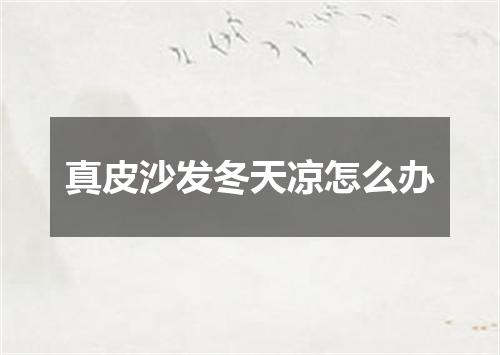 真皮沙发冬天凉怎么办