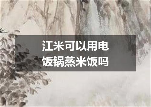 江米可以用电饭锅蒸米饭吗