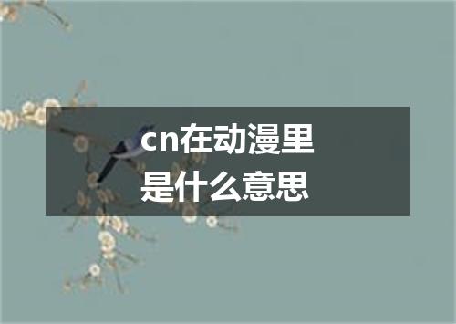 cn在动漫里是什么意思
