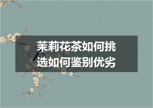 茉莉花茶如何挑选如何鉴别优劣