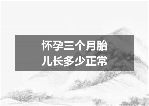 怀孕三个月胎儿长多少正常