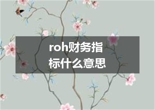 roh财务指标什么意思