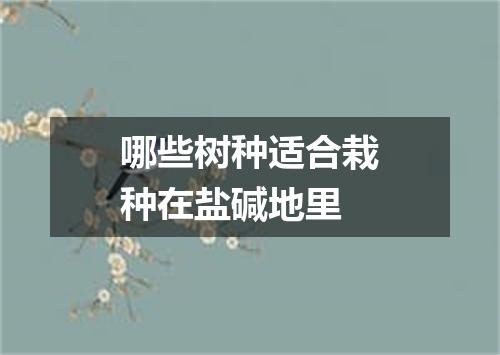 哪些树种适合栽种在盐碱地里