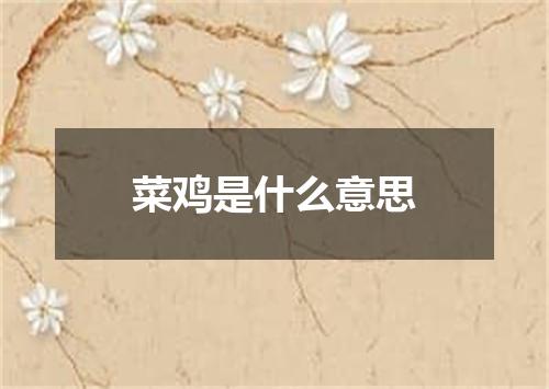 菜鸡是什么意思