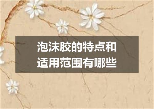 泡沫胶的特点和适用范围有哪些