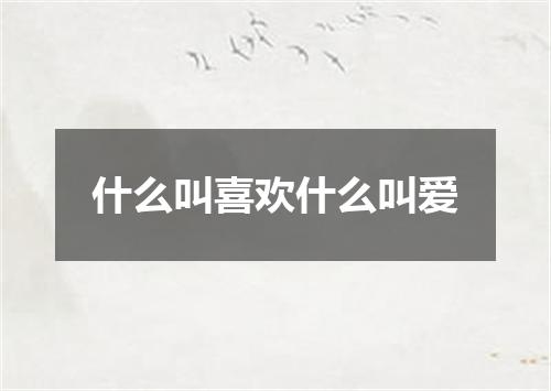 什么叫喜欢什么叫爱