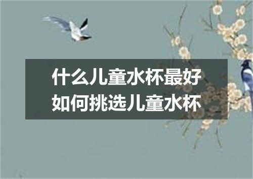 什么儿童水杯最好如何挑选儿童水杯