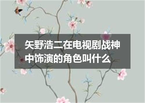 矢野浩二在电视剧战神中饰演的角色叫什么
