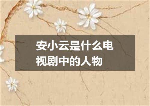安小云是什么电视剧中的人物
