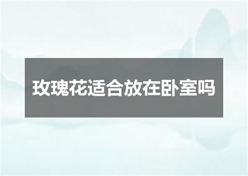 玫瑰花适合放在卧室吗