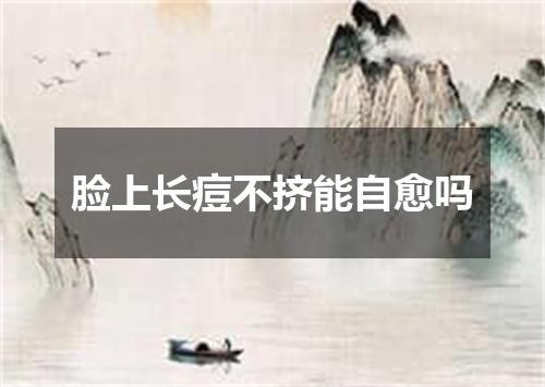 脸上长痘不挤能自愈吗
