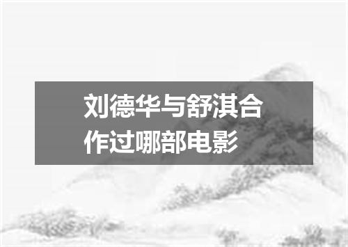 刘德华与舒淇合作过哪部电影