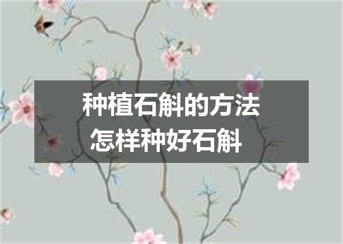 种植石斛的方法 怎样种好石斛