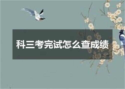 科三考完试怎么查成绩