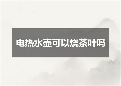 电热水壶可以烧茶叶吗