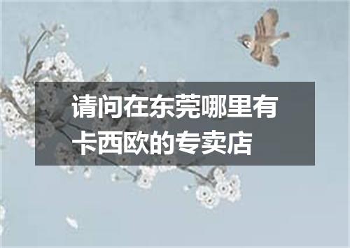 请问在东莞哪里有卡西欧的专卖店