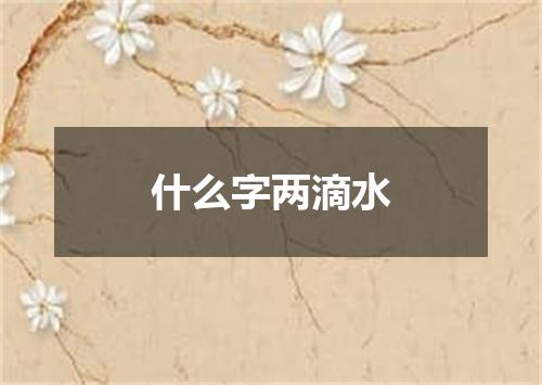 什么字两滴水