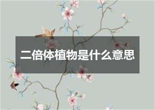 二倍体植物是什么意思