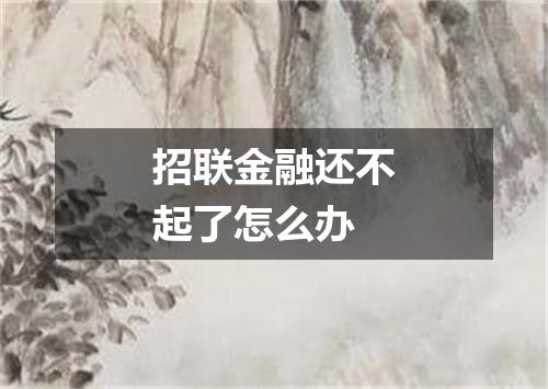 招联金融还不起了怎么办