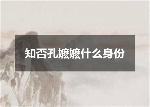 知否孔嬷嬷什么身份