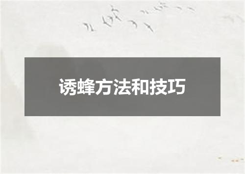 诱蜂方法和技巧