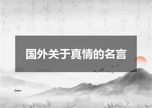 国外关于真情的名言