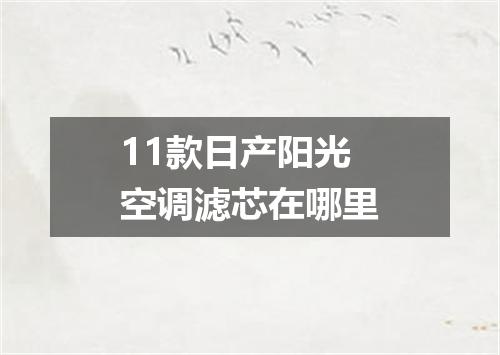 11款日产阳光空调滤芯在哪里
