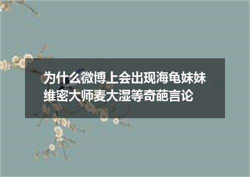 为什么微博上会出现海龟妹妹维密大师麦大湿等奇葩言论