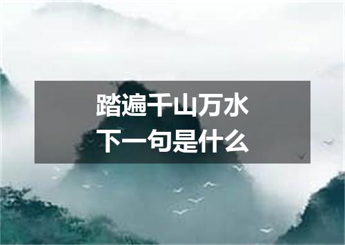 踏遍千山万水下一句是什么