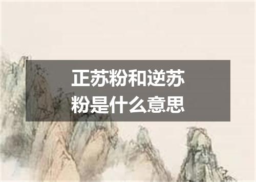 正苏粉和逆苏粉是什么意思