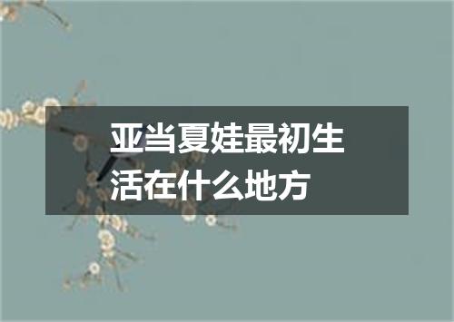 亚当夏娃最初生活在什么地方