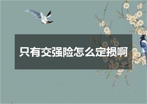 只有交强险怎么定损啊