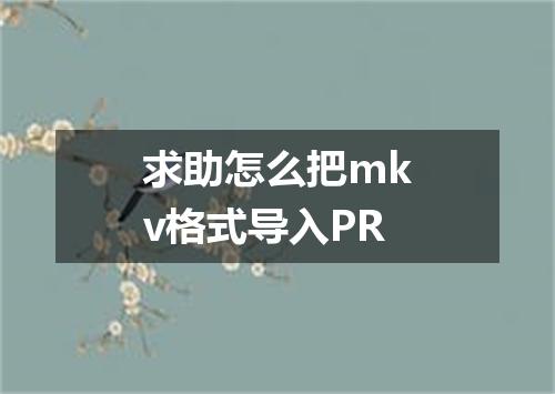 求助怎么把mkv格式导入PR