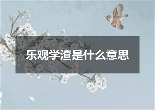 乐观学渣是什么意思