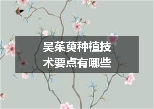 吴茱萸种植技术要点有哪些