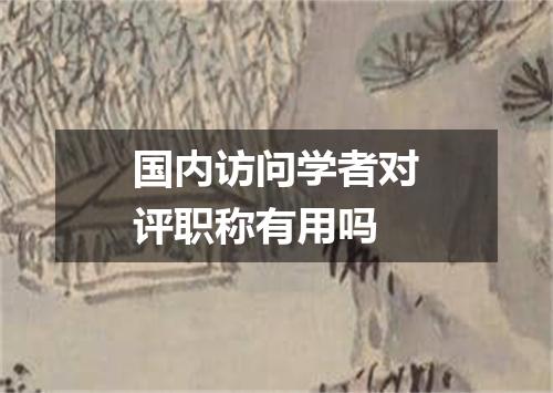 国内访问学者对评职称有用吗