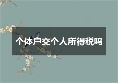 个体户交个人所得税吗