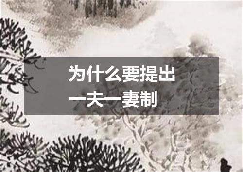 为什么要提出一夫一妻制