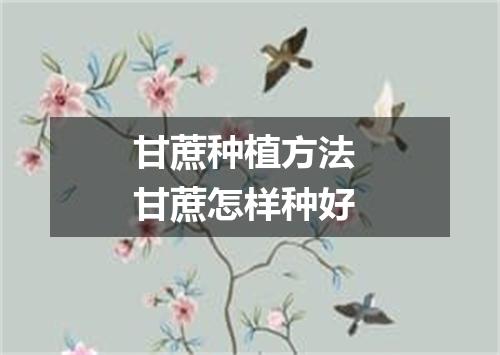 甘蔗种植方法 甘蔗怎样种好