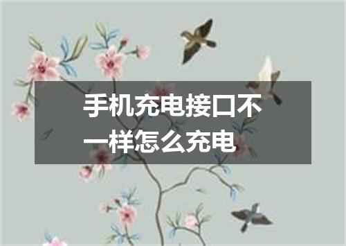 手机充电接口不一样怎么充电