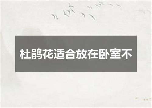 杜鹃花适合放在卧室不