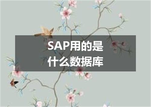 SAP用的是什么数据库