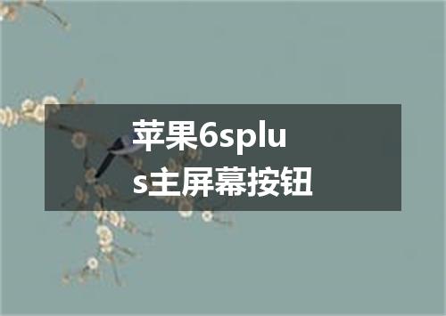 苹果6splus主屏幕按钮