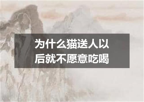 为什么猫送人以后就不愿意吃喝