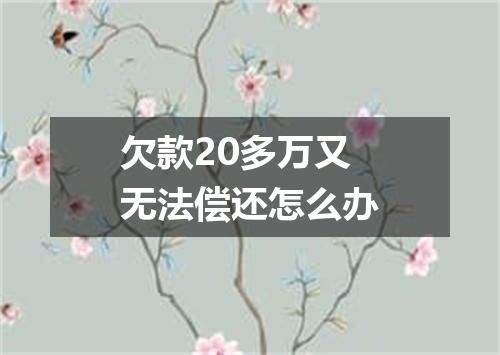 欠款20多万又无法偿还怎么办