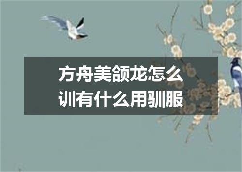 方舟美颌龙怎么训有什么用驯服