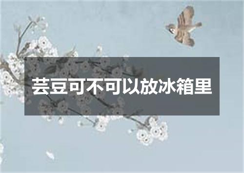 芸豆可不可以放冰箱里