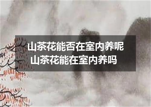 山茶花能否在室内养呢 山茶花能在室内养吗